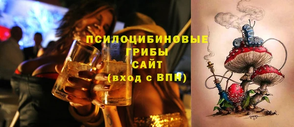 тгк Алексин
