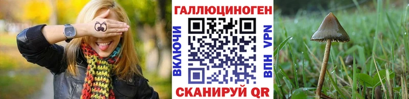 магазин продажи   Янаул  Галлюциногенные грибы Cubensis 